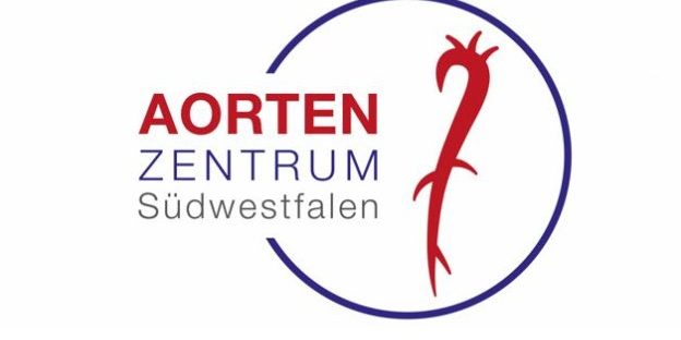 Aorta Gefäße