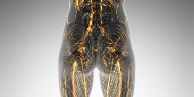 Leriche-Aorta-Verschluss-624×426 Leiche Aorta Verschluss