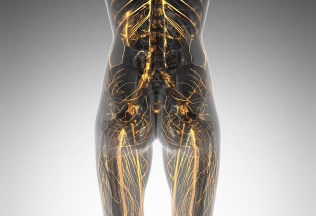 Leiche Aorta Verschluss