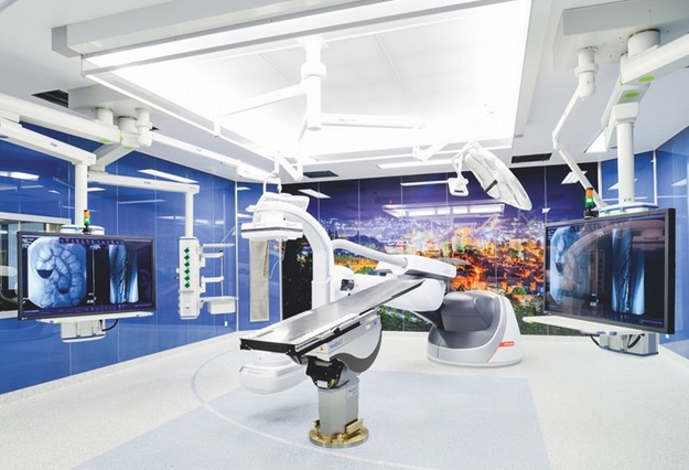 Aorta Spezialprothese