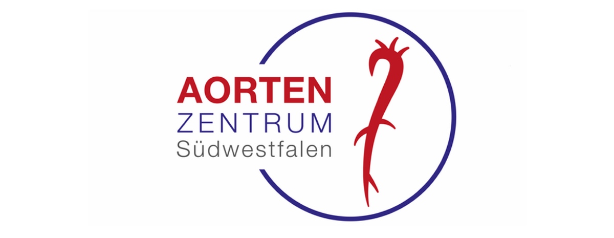 Überlastet Sport die Aorta