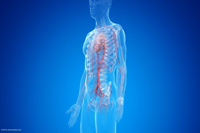 Leben nach Aorten-OP