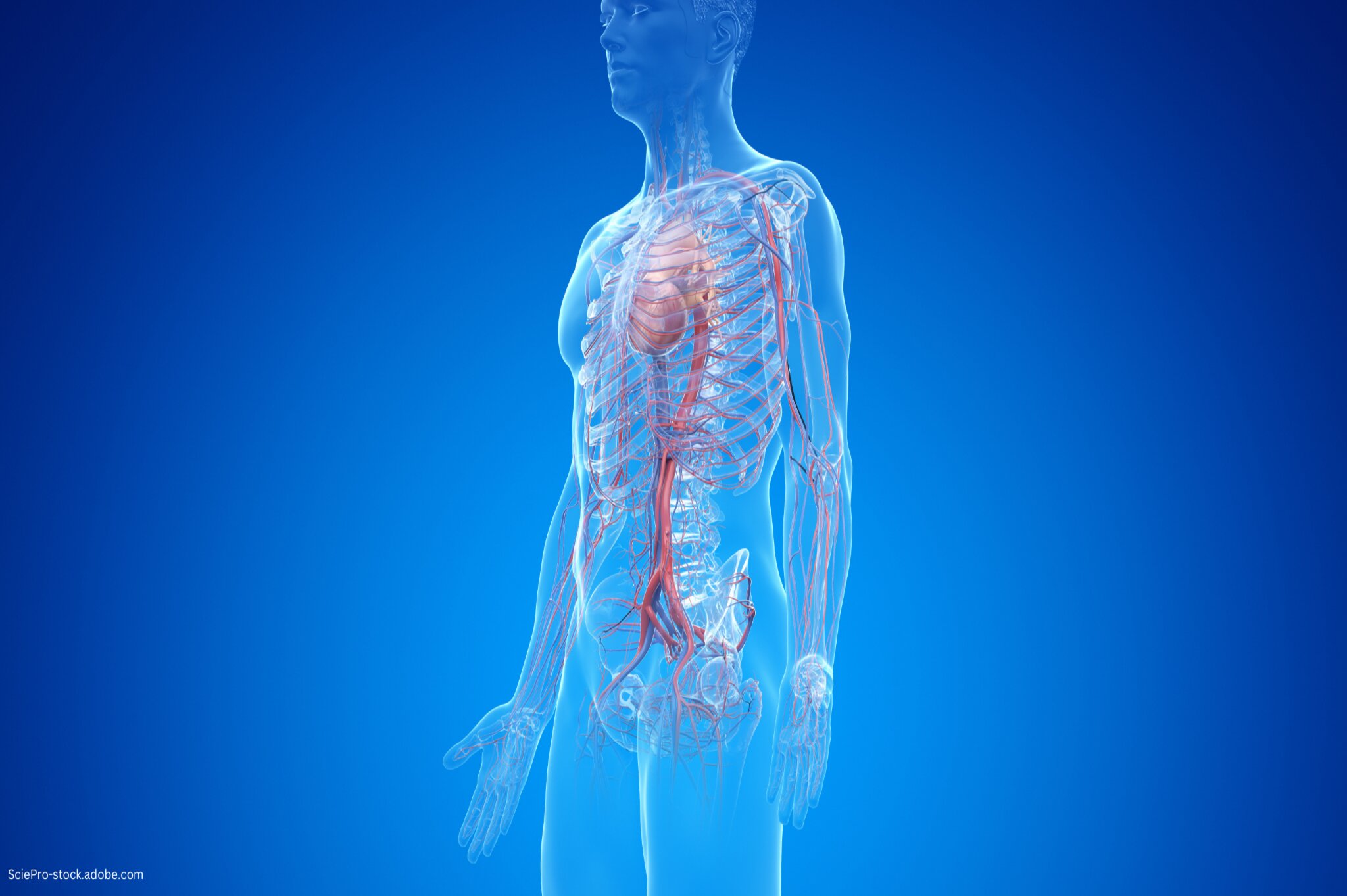 leben-nach-aorten-op Leben nach Aorten-OP