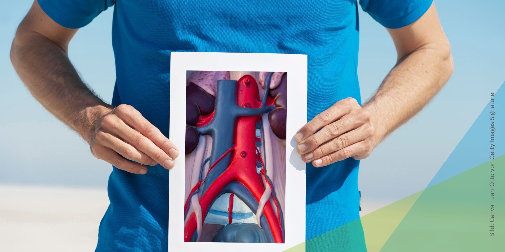 Mann hält ein Bild der Aorta vor dem Bauch
